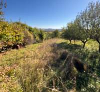 Veľké Turovce: A cottage in a natural setting, surrounded by trees and grass, under a blue sky.