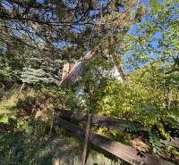 A cottage in Veľké Turovce surrounded by lush greenery and a wooden fence.