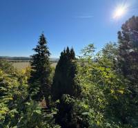 Sunny view of trees and landscape near the Cottage in Veľké Turovce.
