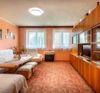 Living room in a 3-room apartment with a sofa, built-in wardrobe, and carpet.