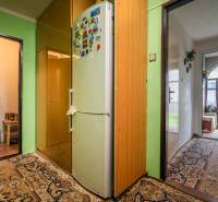 Green walls, a fridge with magnets, and carpets in a 3-room apartment with a view of the courtyard.