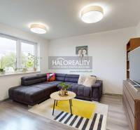 Living room in a three-room apartment with a sofa and a wooden decor floor.