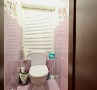 A bathroom in a one-room apartment with pink walls and blinds on the window.