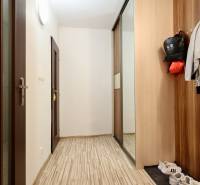A hallway in a one-room apartment with a coat rack, a wardrobe, and a floor with a wooden decor.