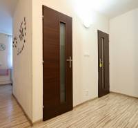 A hallway in a one-room apartment with a wood-patterned floor and dark doors.