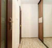A hallway with a sliding wardrobe and a wooden decor floor in a studio apartment.