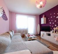 Living room in a studio apartment with a sofa, decorations, and wood-patterned flooring.