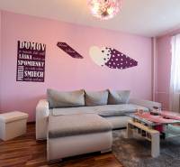 Living room in a studio apartment with a pink wall, gray sofa, and wood-patterned flooring.