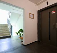 Staircase with an elevator and a plant in an apartment building on J. Hollého in Michalovce.