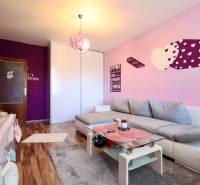 Living room in a studio apartment with a sofa, colorful walls, and a wooden-patterned floor.