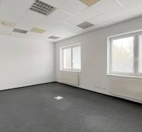 Offices with light walls, black carpet, and ceiling panels.