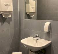 A small washroom with a sink, mirror, and dispensers on the wall in an office.