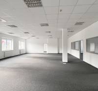 Spacious offices with gray carpet and rows of windows.