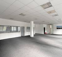 Offices with carpet flooring, white walls, and a suspended ceiling, without furniture.