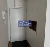 Entrance hallway with wood-patterned flooring and built-in storage in a 2-room apartment.
