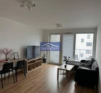 Living room in a two-room apartment with a wooden decor floor, sofa, and television.