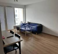 Living room in a two-room apartment with a wooden decor floor and a dining table.