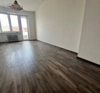 Living room in a three-room apartment with a wooden decor floor and a large window.