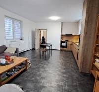 Living room in a two-room apartment with a wooden decor floor and a kitchenette.