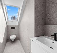 Bathroom with toilet and sink, skylight on Trnavská cesta street.