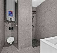 Bathroom with shower and toilet, on Trnavská cesta street, in a 3-room apartment.