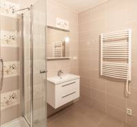 A bathroom in a 3-room apartment with a modern shower, mirror, and ladder radiator.