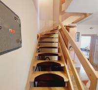 Wooden stairs with safety railing in a family house with an open space.