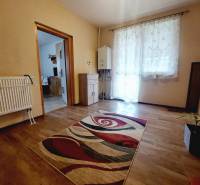 Interior of a family house with a wooden decor floor, carpet, and a bright window.