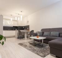 Living room with a kitchen, sofa, table, and wooden decor flooring in a two-room apartment.