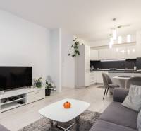 Living room in a two-room apartment with an open kitchen and a wooden decor floor.