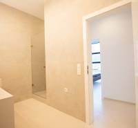 Modern bathroom with a sink, shower, and view into the living area.