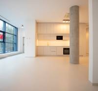 Interior of a 4-room apartment with a spacious kitchen and large windows.