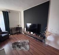 Living room with wood-patterned flooring in a 2-room apartment and a stylish black wall.