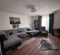 A living room with a comfortable sofa and a wooden decor floor in a two-room apartment.