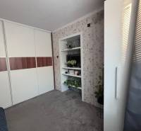 A cozy room in a two-room apartment with flowers and a built-in wardrobe.