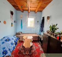 A room in a family house with plants, a wooden ceiling, a carpet, and a sofa with a blue blanket.