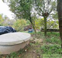 Garden in Ľudovítová with a concrete cover and trees near the family house.