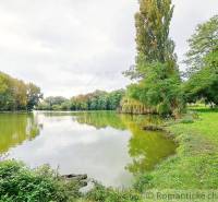 A lake with a tree-lined shore in Ľudovítova near a family house.