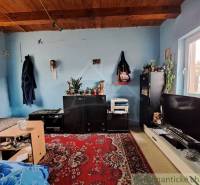 A room in a family house with blue walls, carpet, and a wooden ceiling.