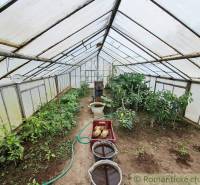 Greenhouse with plants, water buckets, and gardening tools in Ľudovítová.