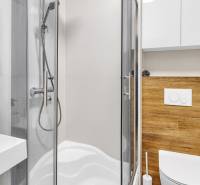 Bathroom with wood-patterned flooring, shower, sink, and toilet in a family house.