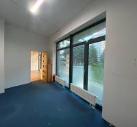 Interior of commercial spaces with large windows and wooden floor decor.