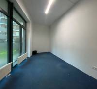 Commercial space with large windows and blue carpet, white wall.