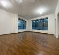 Spacious commercial spaces with large windows and wood-patterned flooring.