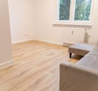 A room in a 4-room apartment with a wooden decor floor and a comfortable sofa.