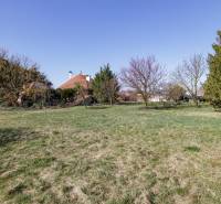 A grassy plot for living in Kútniky surrounded by trees and a house on the horizon.