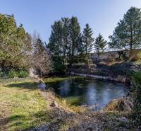A frozen pond surrounded by trees on a residential plot in Kútniky.