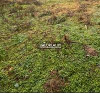 Greenery and grass area on residential plots in Madunice.