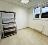 Translate this into English, I want only the translation as the output: