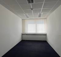 Offices with white walls and dark carpet, ceiling lighting, vertical blinds.